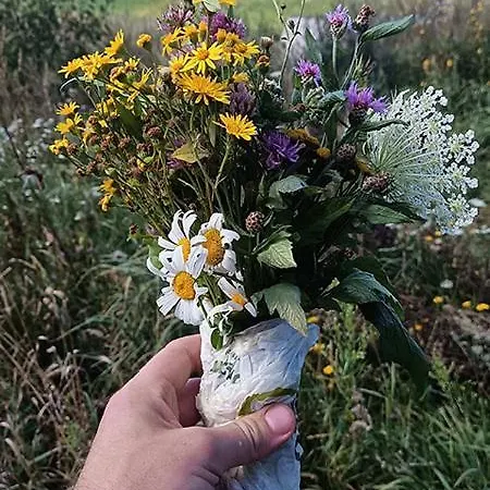 Rent A Tent - Namiot W Praekologicznym Gospodarstwie *