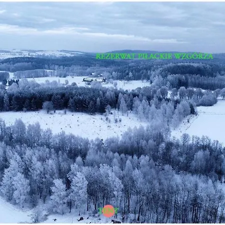 Rent A Tent - Namiot W Praekologicznym Gospodarstwie ラグジュアリーテント